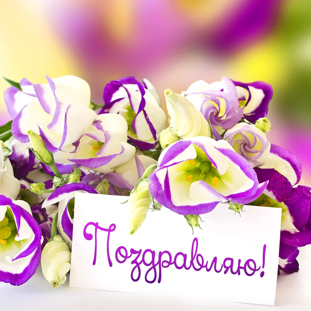 birthday-210.webp