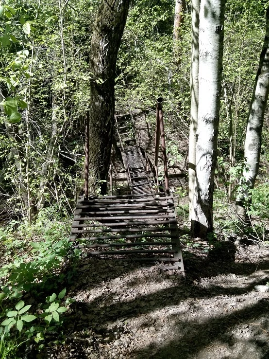 Битцевский парк.webp