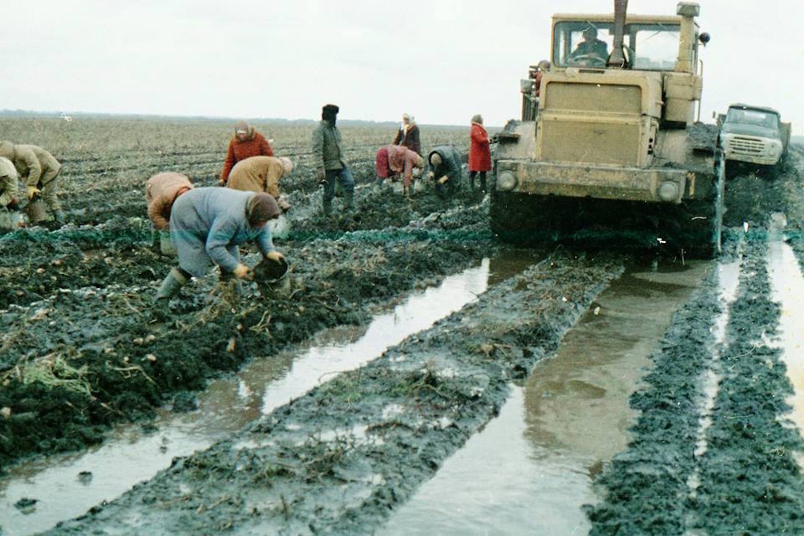 Битва за урожай. 1986 год. Октябрь..jpg