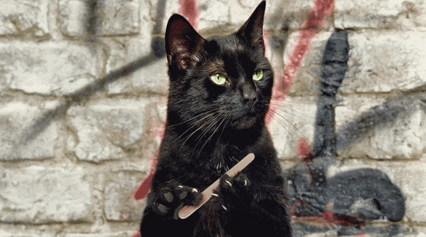 black-cat-7.gif
