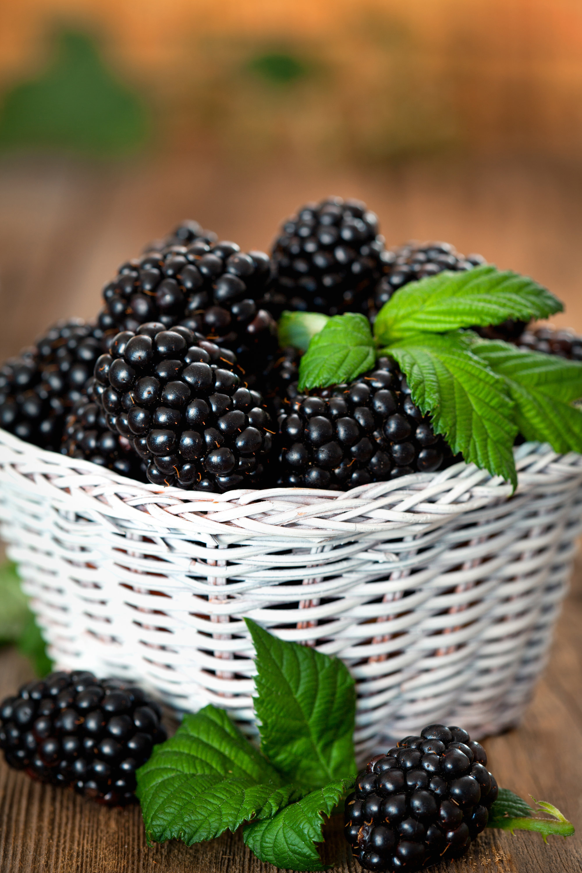 Blackberry_Wicker_basket_Foliage_567514_3000x4500.jpg