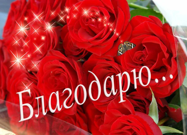благдр.webp