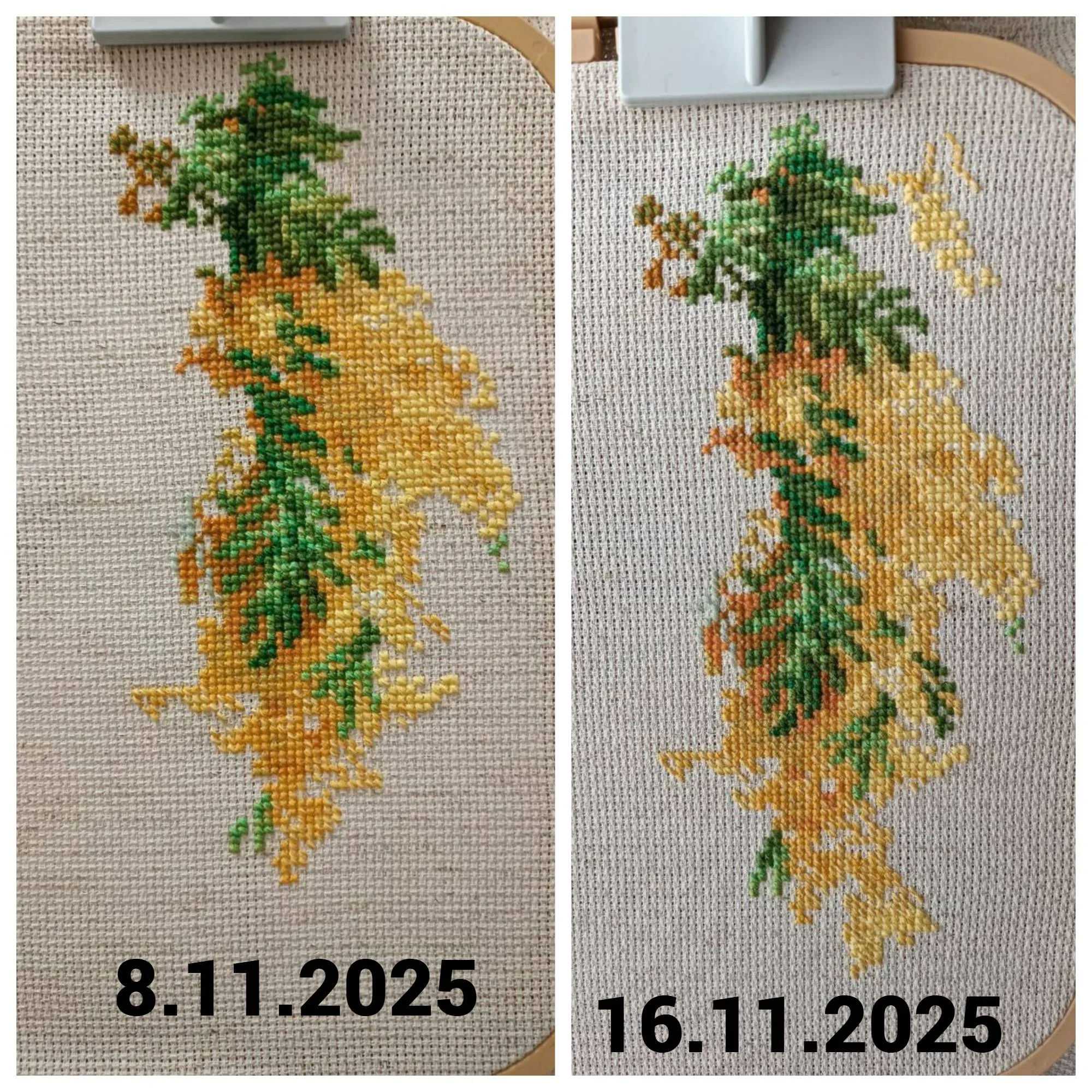 Blank 2 Grids Collage.webp