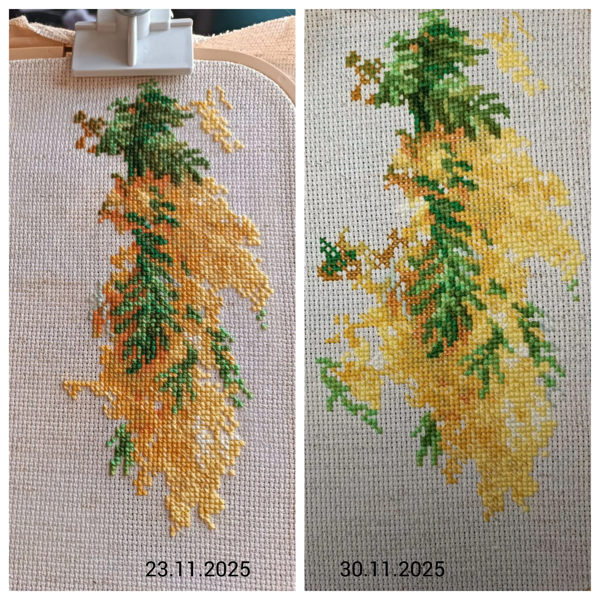 Blank 2 Grids Collage.webp