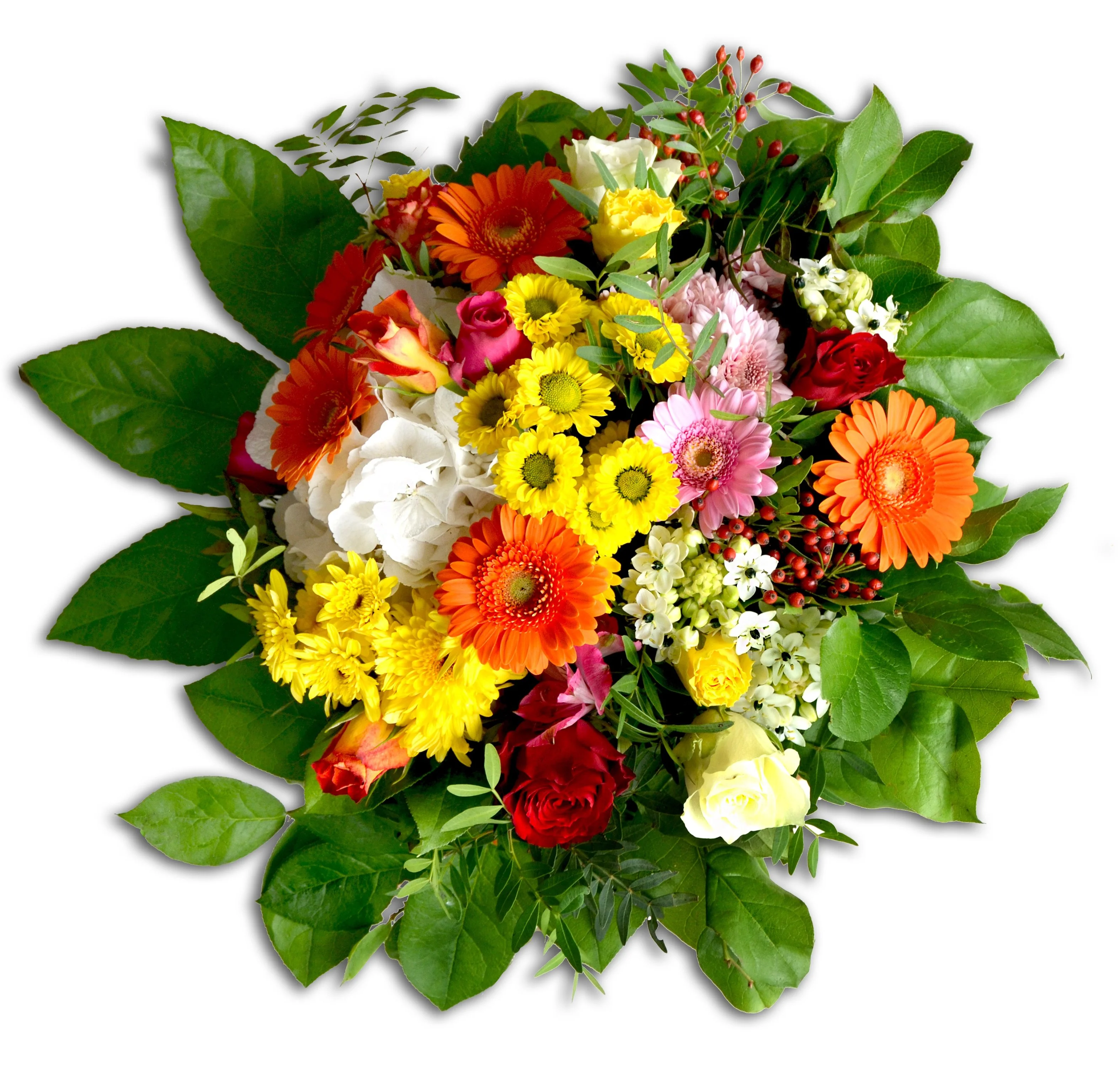 blossom-plant-flower-petal-bloom-isolated-bouquet-orange-green-red-colorful-yellow-flowers-ro...webp
