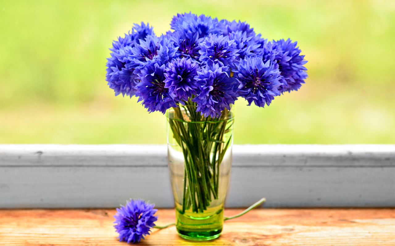 blue-flowers.jpg