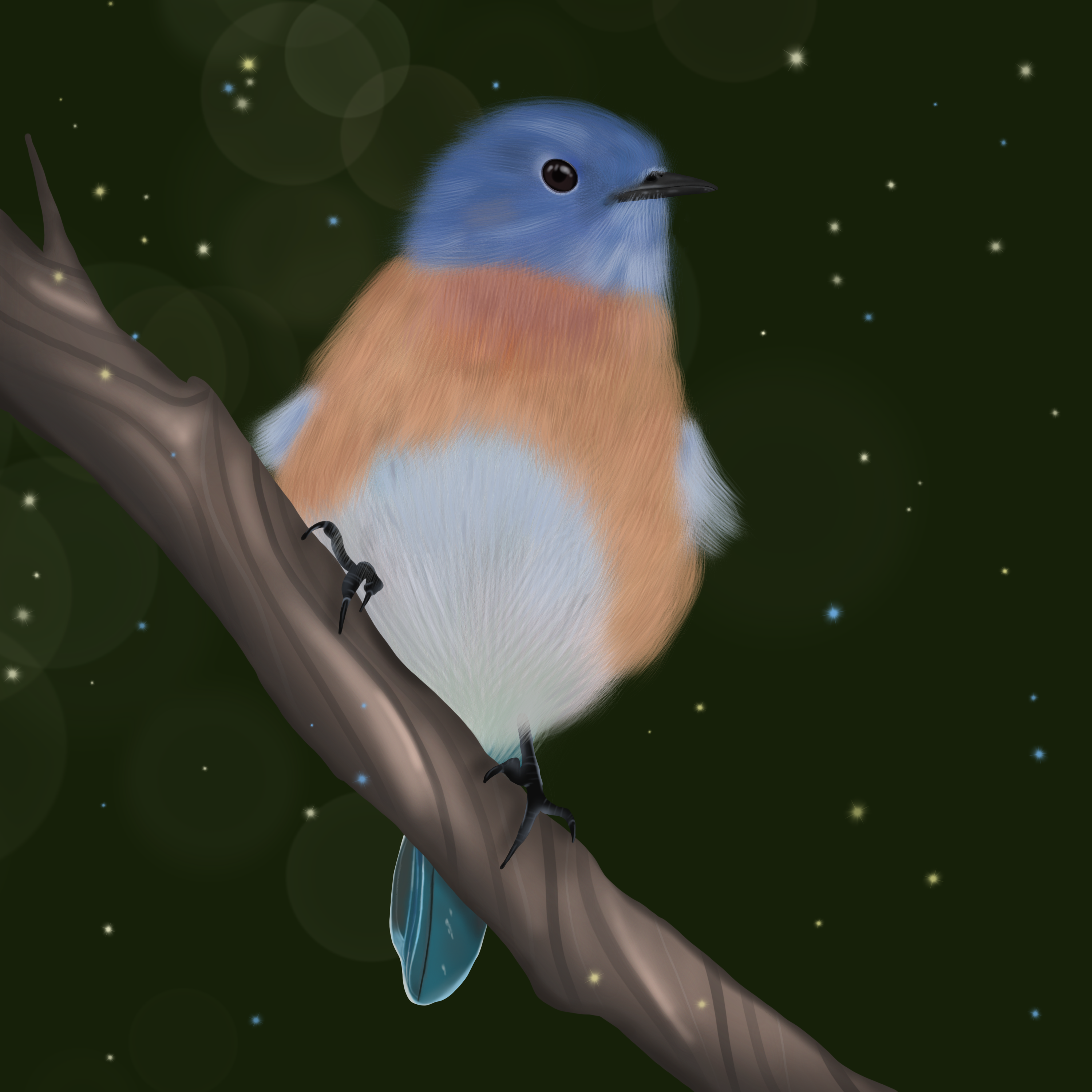 Bluebird.png