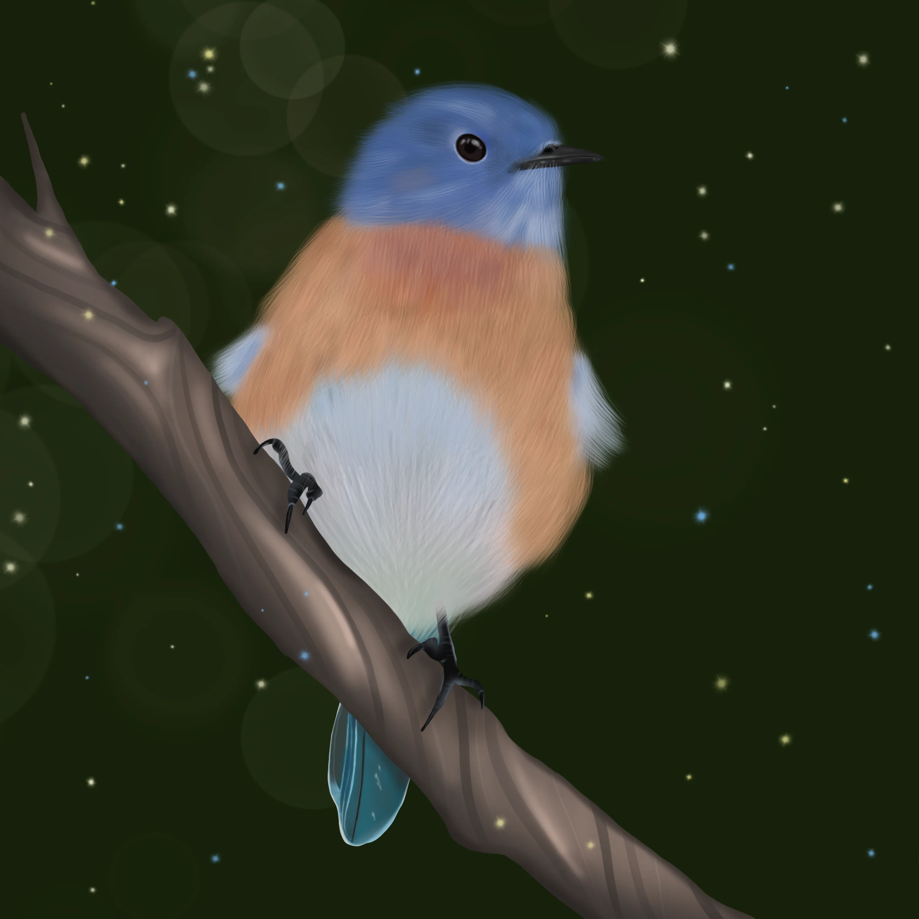 Bluebird.webp
