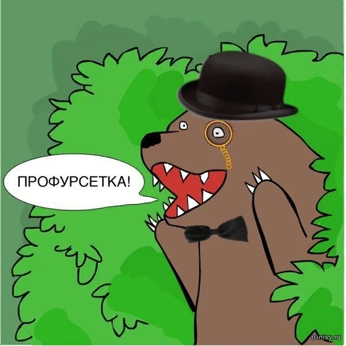 BmrWYfJ4n_Y.webp
