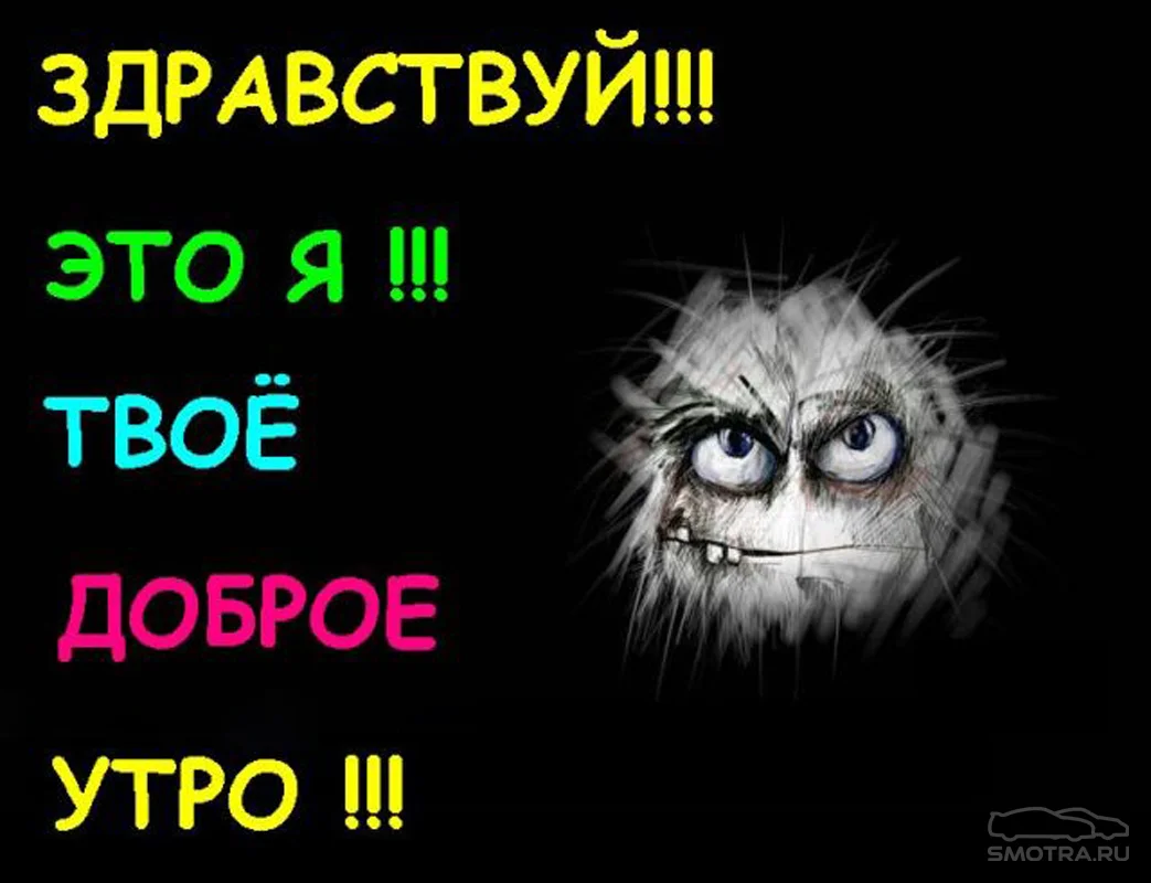 бодрюша.webp