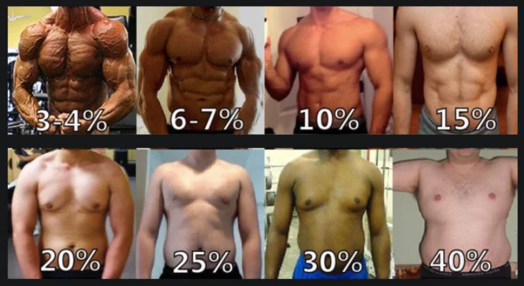 body-fat-chart-for-man-boobs.webp