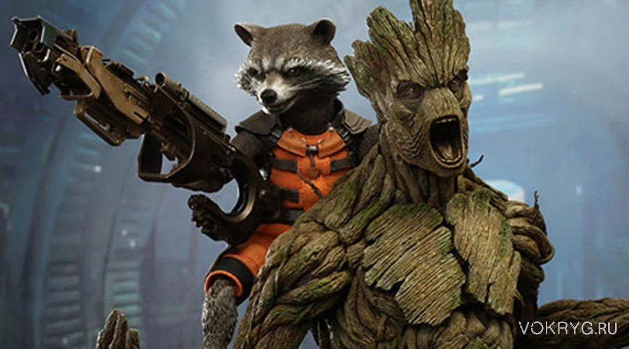 боевой енот2.webp