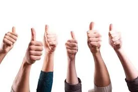 больш пал вверх.webp