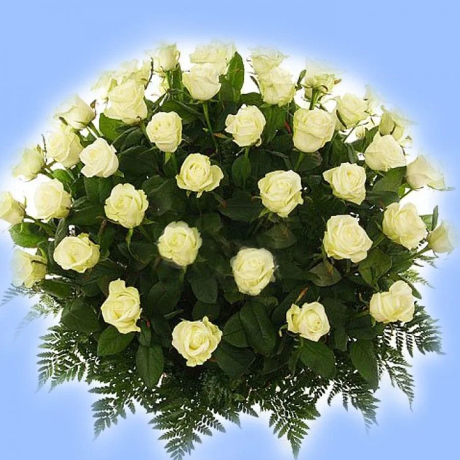 большой букет белых роз.webp