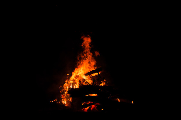 bonfire-burning-trees-at-night-bonfire-burning-brightly-heat-light-camping-big-bonfire_250994-...jpg