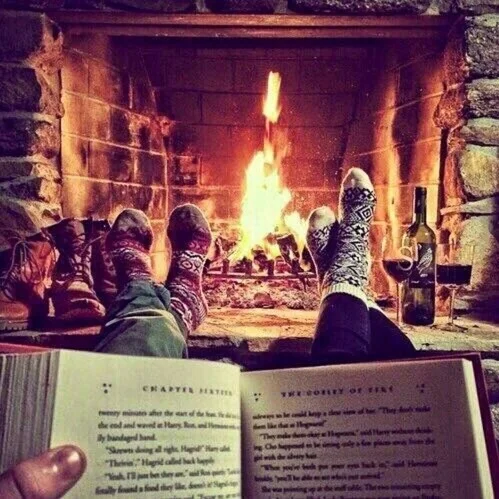 book-cozy-fireplace-reading-Favim.com-3850665.webp
