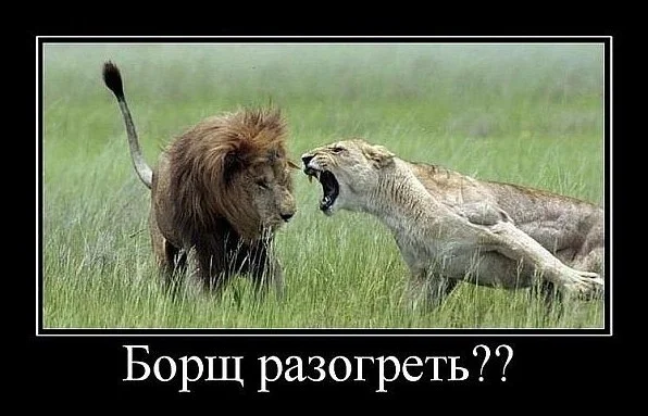 борщ разогреть.webp