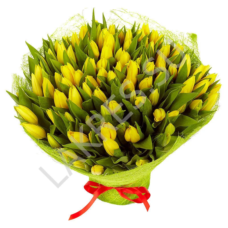 bouquet-75-tulip.webp