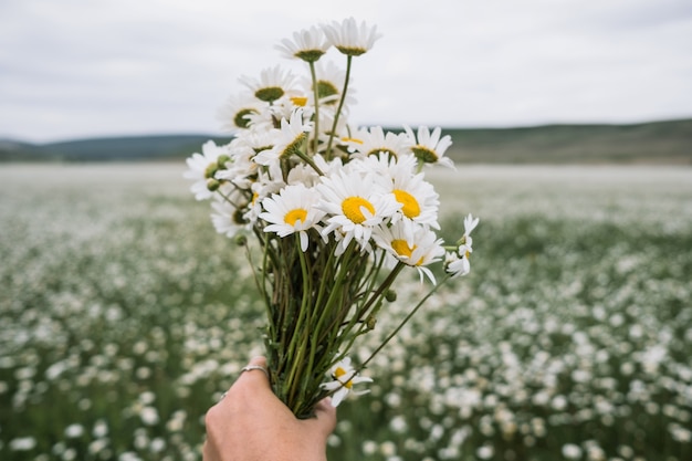 bouquet-daisies-hands-girl_135932-3167.jpg