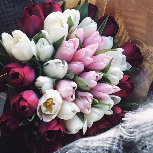 bouquet-flowers-tulips-Favim.com-2658778.webp