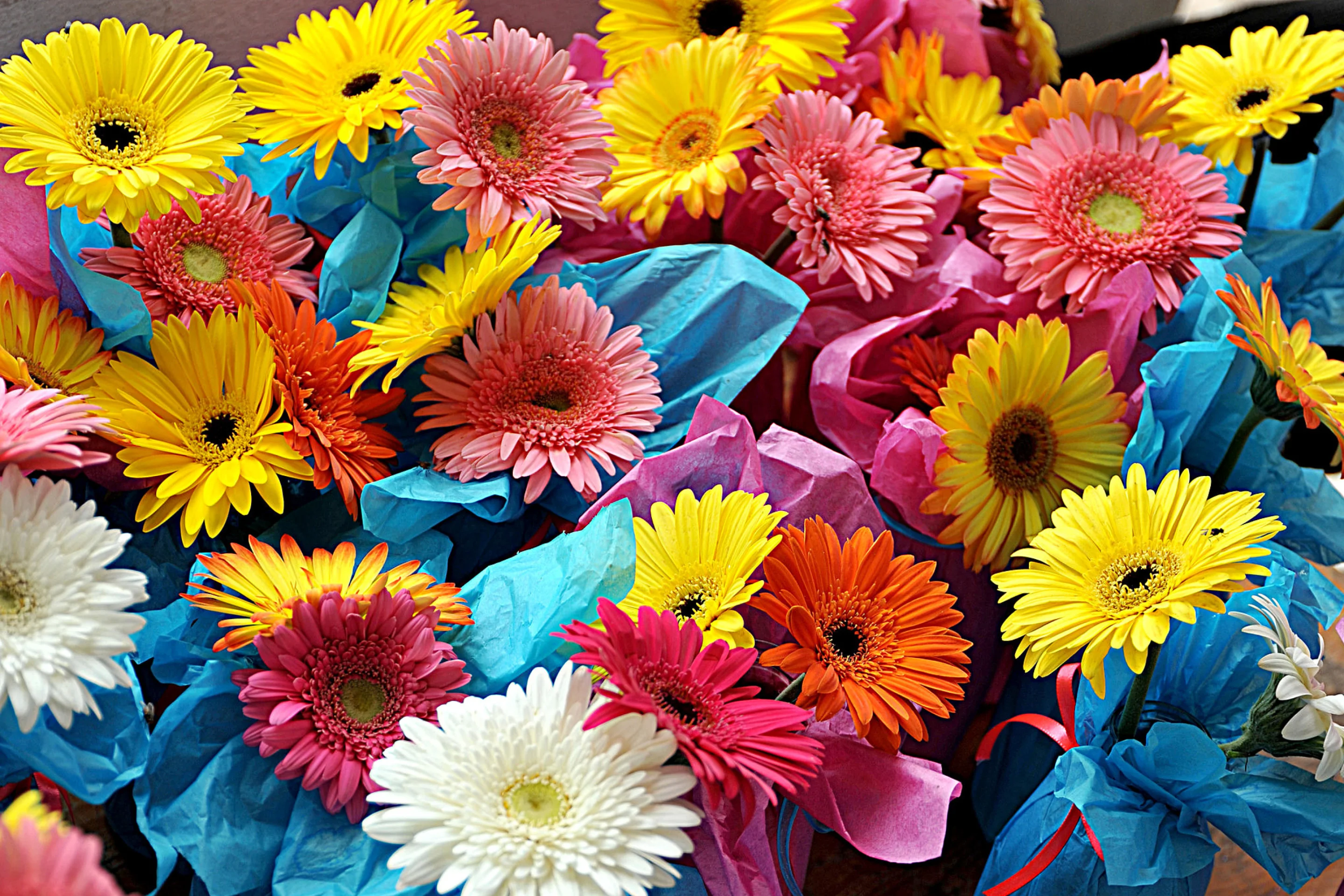 Bouquet-of-Gerberas-2880x1920.webp