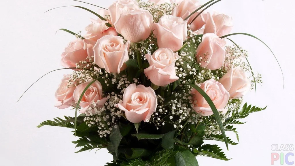 bouquet-of-pink-rose-1024x576.webp