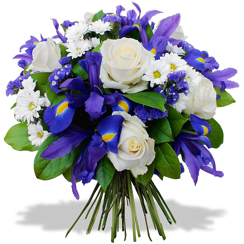 bouquet-rond-rose-fleur-iris-bleu-blanc_25269.webp