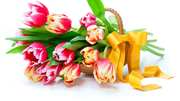 bouquet-wallpapers1.jpg