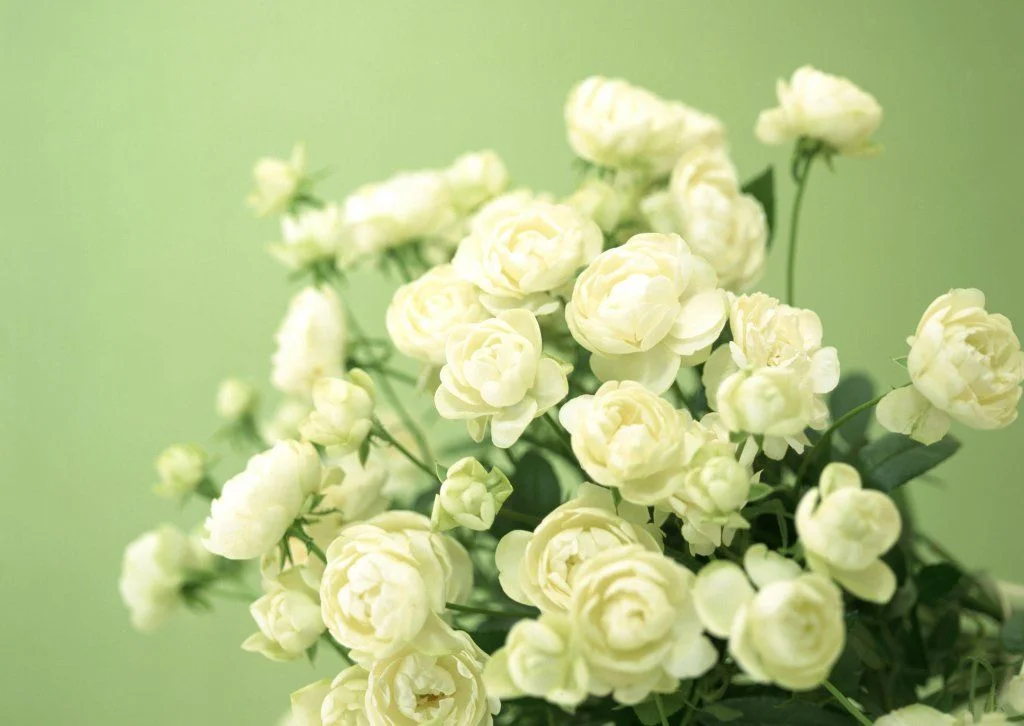 bouquet_012.webp