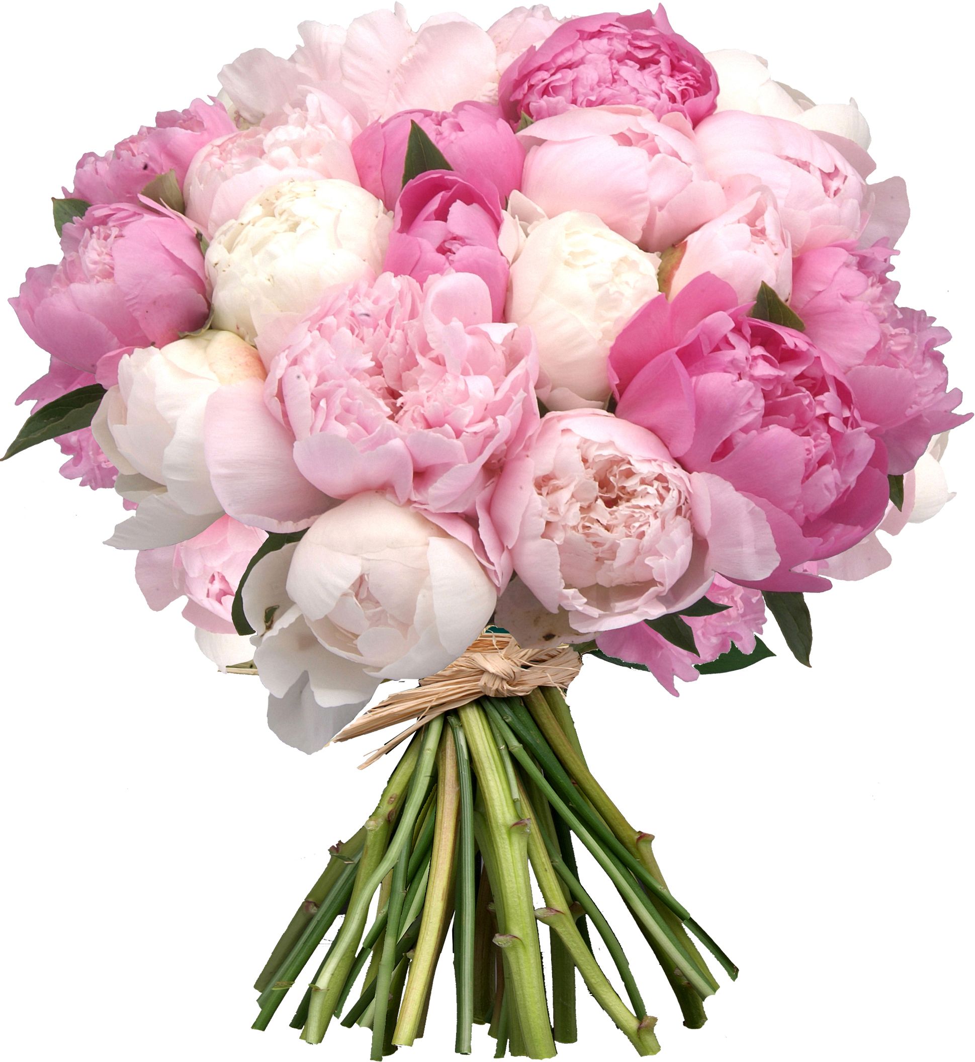 bouquet_50.jpg