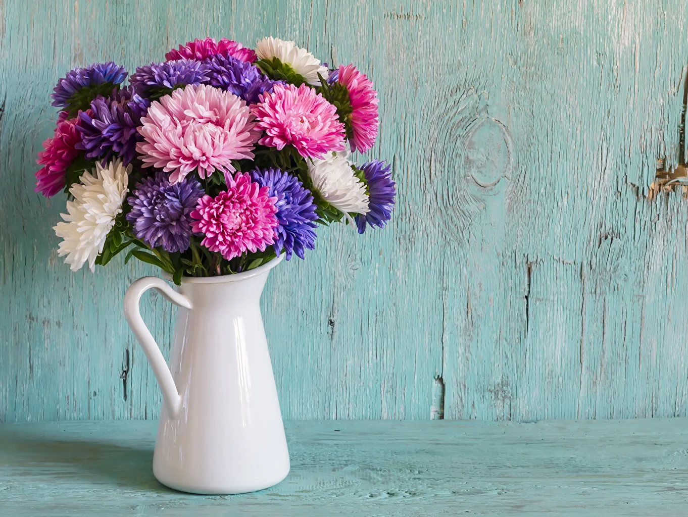 Bouquets_Asters_Colored_background_Wood_planks_Jug_542299_1362x1024.webp