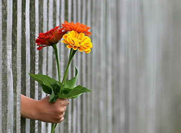 Bouquets_Calendula_Fence_Hands_560133_600x442.webp