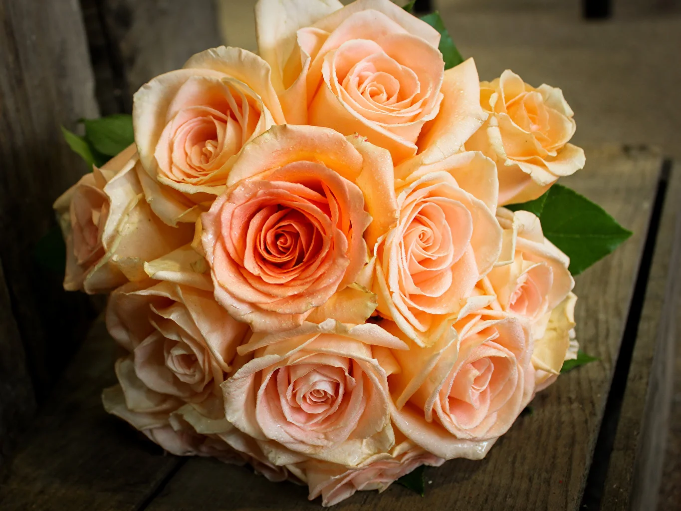 Bouquets_Roses_Closeup_527555_1365x1024.webp
