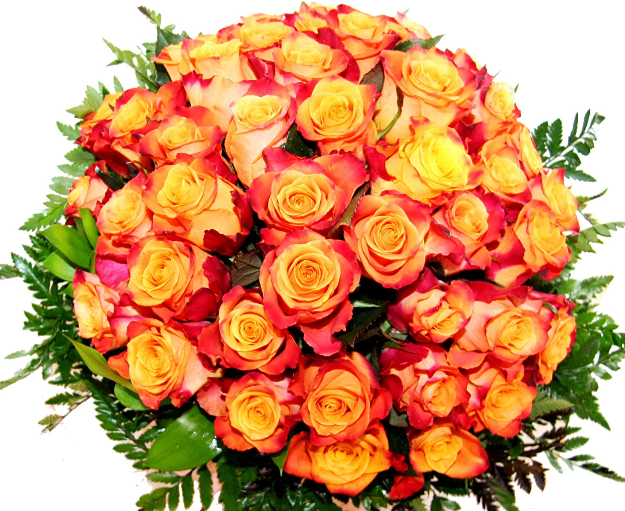 Bouquets_Roses_Closeup_White_background_538985_1252x1024.webp