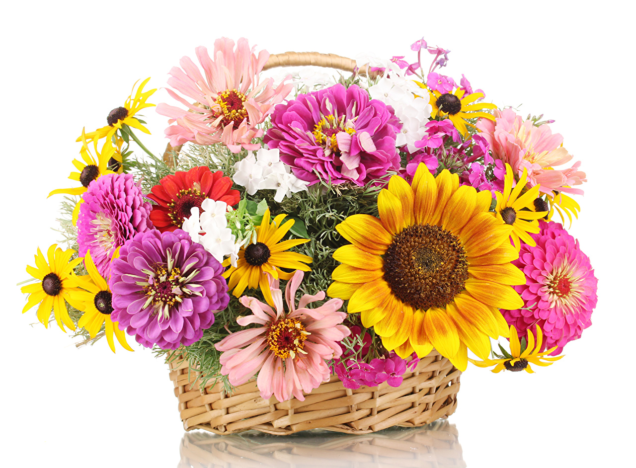 Bouquets_Zinnia_470588.jpg