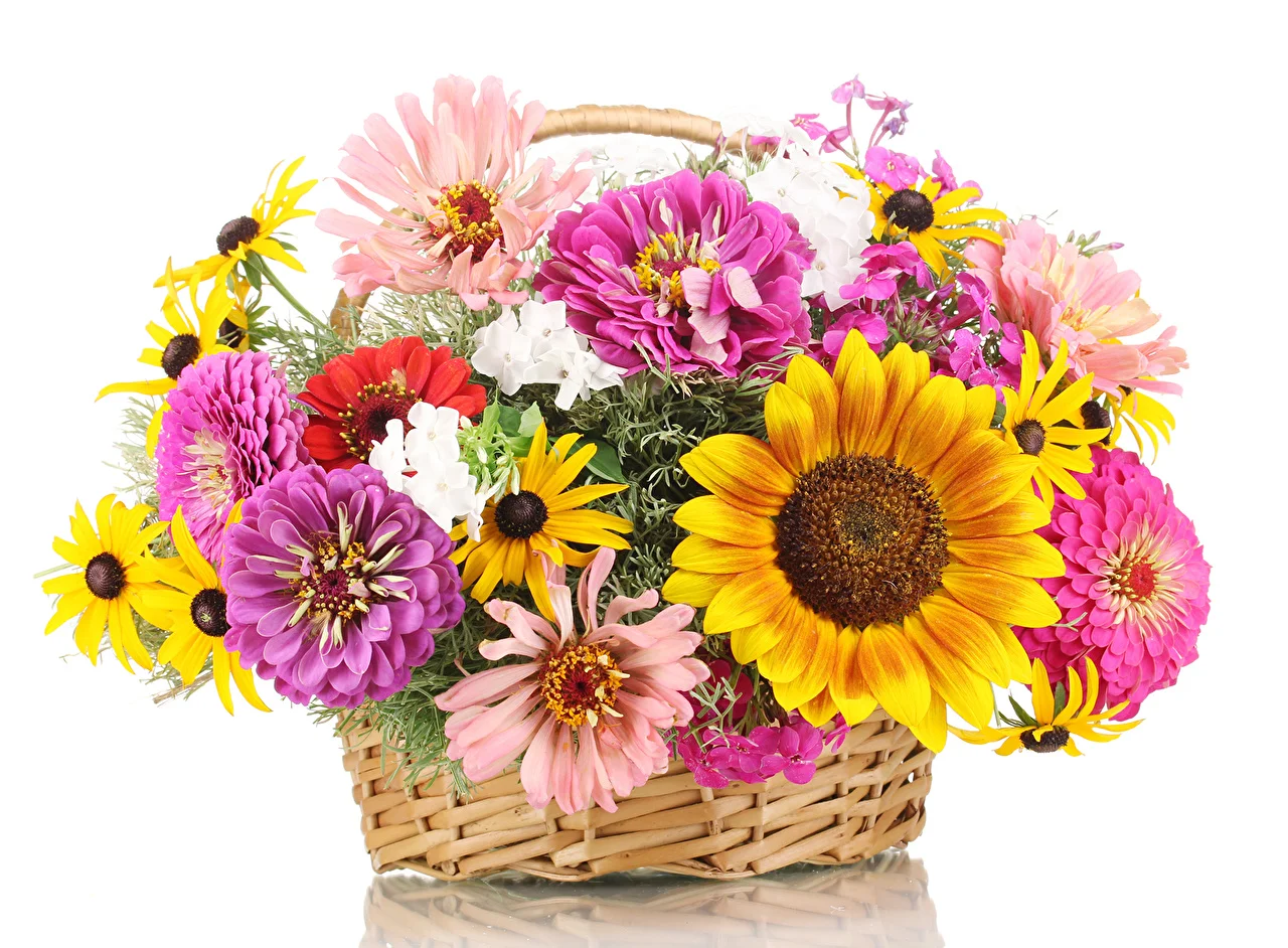 Bouquets_Zinnia_470588.webp