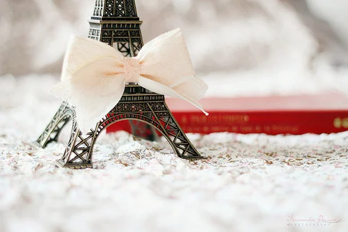 bow-eiffel-tower-love-pretty-quotes-Favim.com-609746.webp