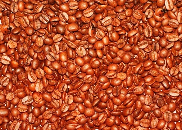 Божья коровка 600.webp