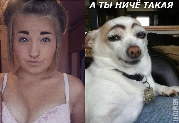бр.webp