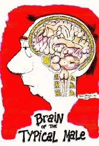 brain.webp