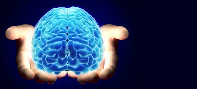 brain.webp brain.webp