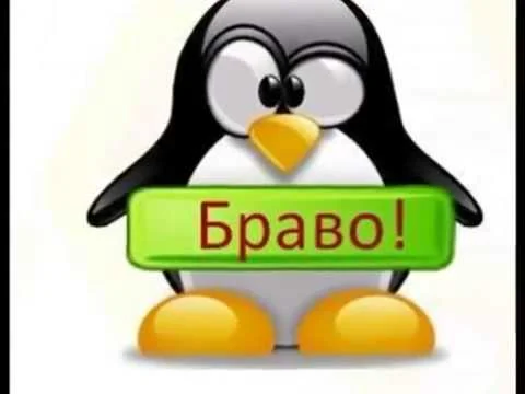 браво.webp