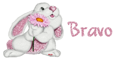браво2.gif