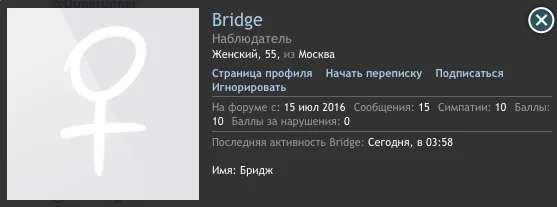 Bridge.webp