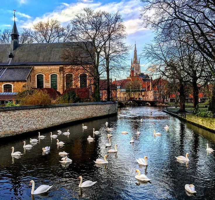 брюгге 8.webp