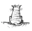 BsOEdjZ8tT4.webp