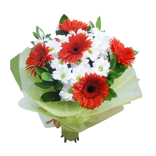 buchet_jerbera_4.webp