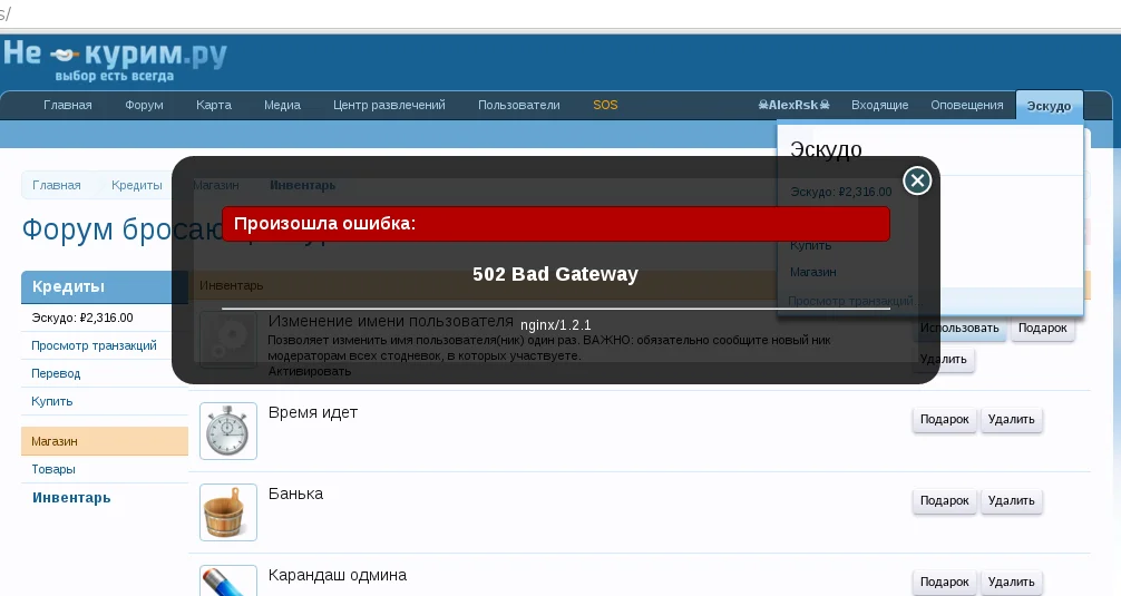 bug.webp