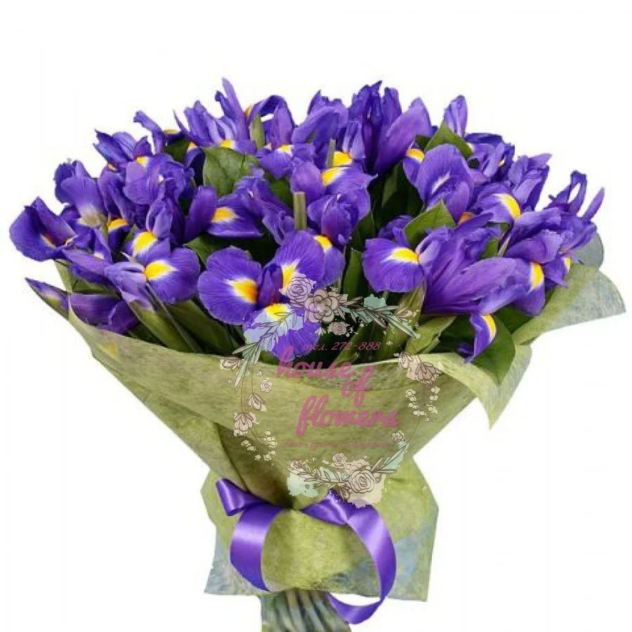 buket-16-irisy.webp