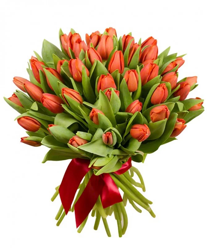 buket-51-tyulpan-153_c0c4bb2919c24f69c8c46c7c53b64c9f.webp